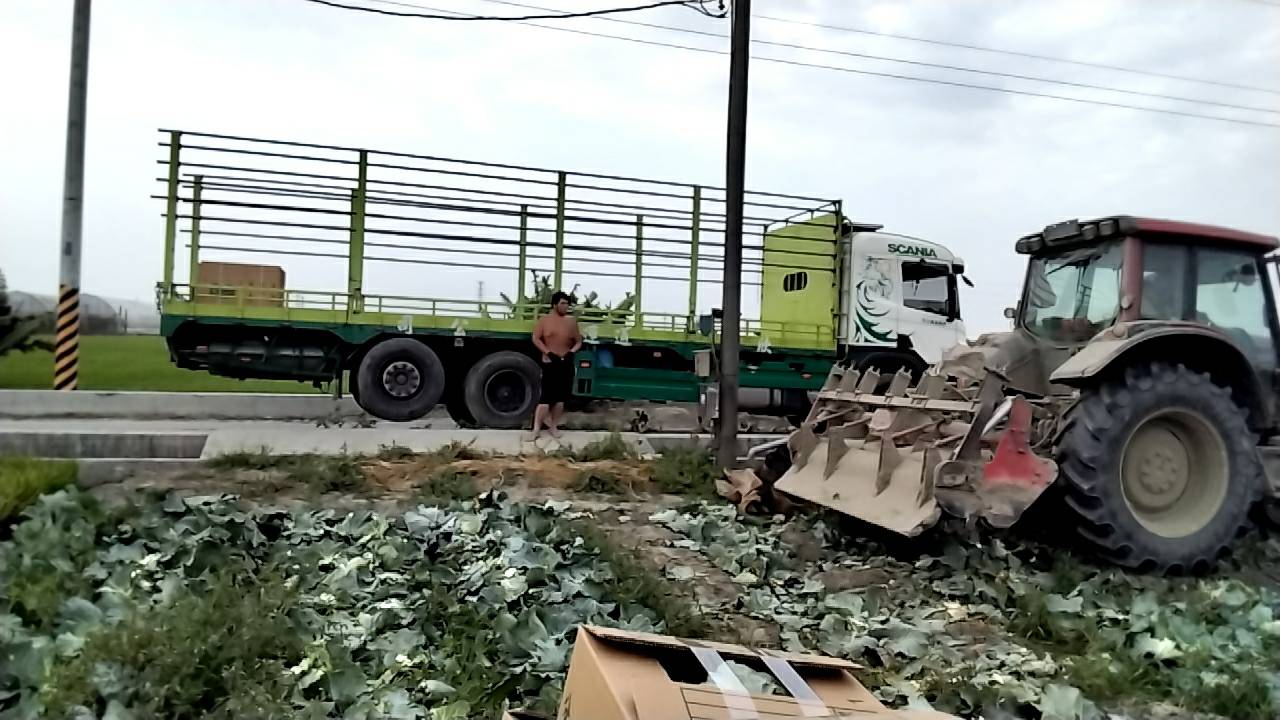 蔬菜_產地直銷