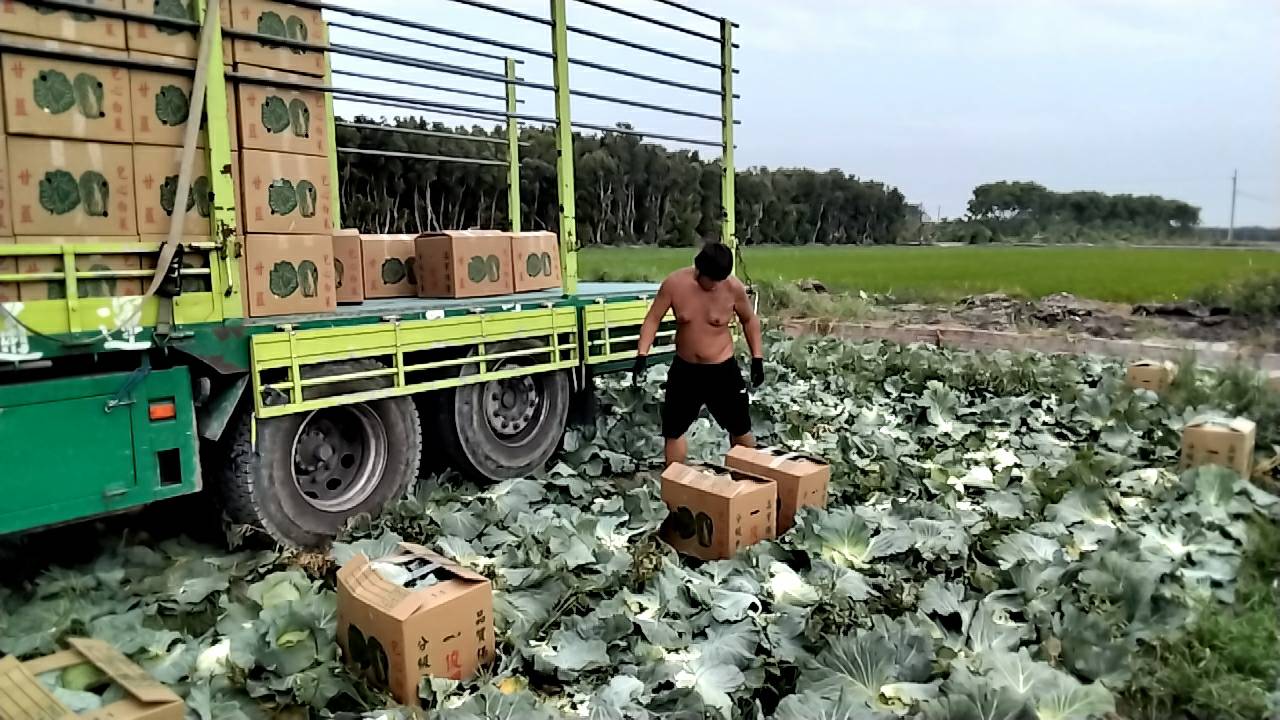 蔬菜_產地直銷