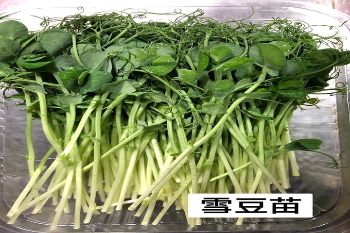 生菜類